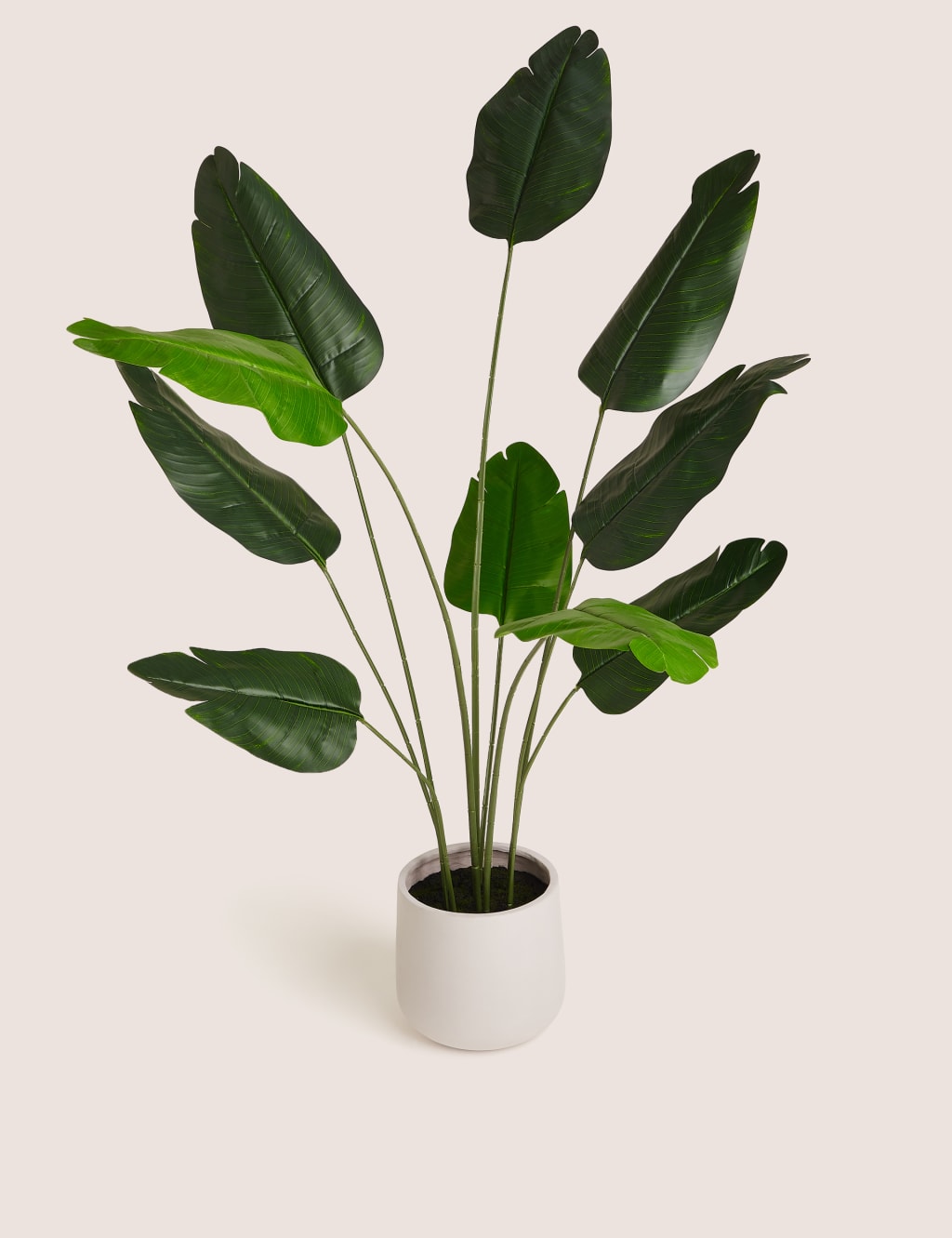 Artificial Floor Standing Banana Leaf Plant 1 of 5