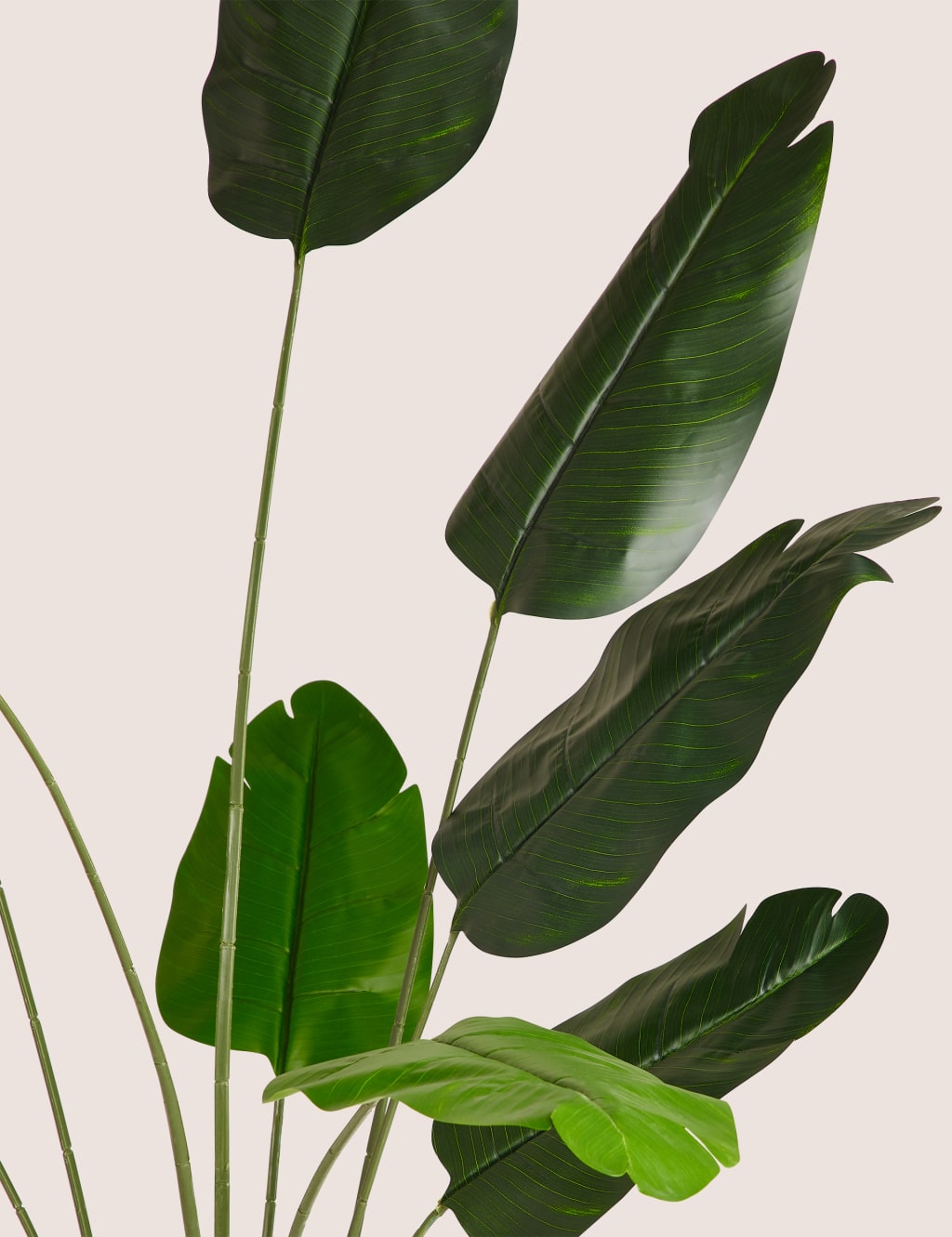 Artificial Floor Standing Banana Leaf Plant 2 of 5