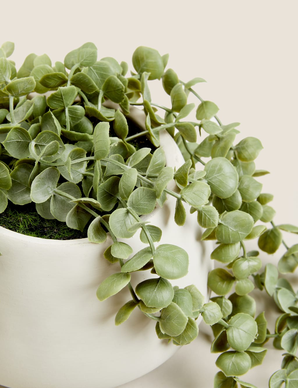 Artificial Trailing String of Hearts Plant 3 of 3