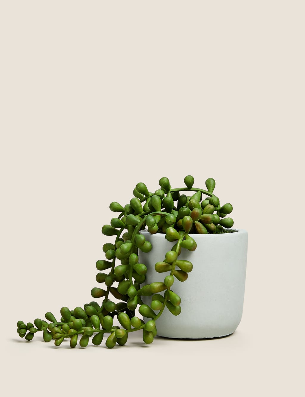 Artificial Mini String of Pearls in Pot 1 of 5