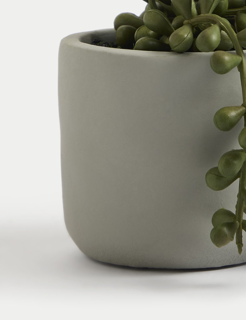 Artificial Mini String of Pearls in Pot 3 of 5