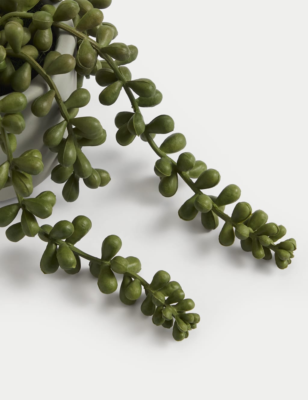 Artificial Mini String of Pearls in Pot 4 of 5