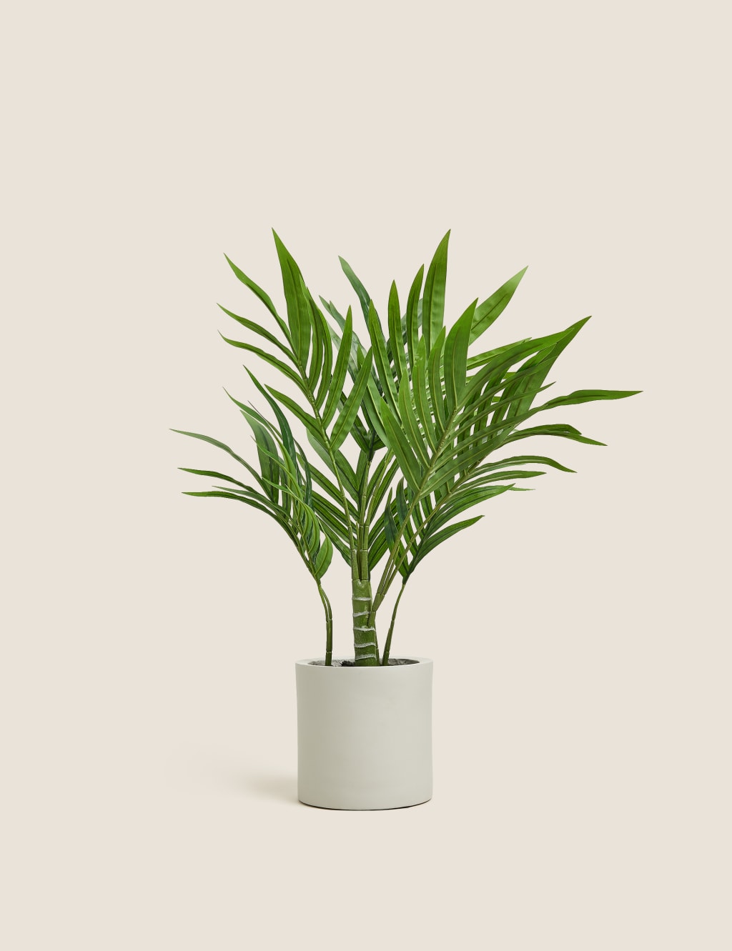 Artificial Medium Palm in Concrete Pot 1 of 4