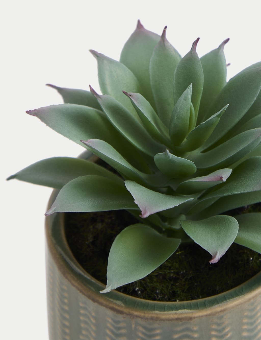 Artificial Mini Succulent in Ceramic Pot 4 of 5