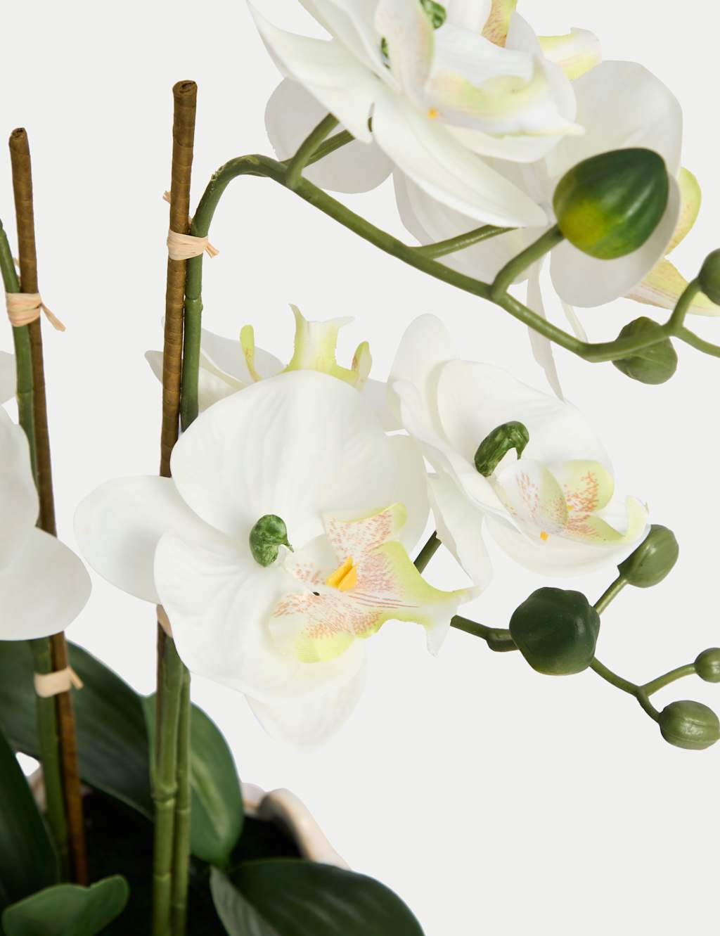 Artificial Orchid Arrangement in Ceramic Pot 2 of 3