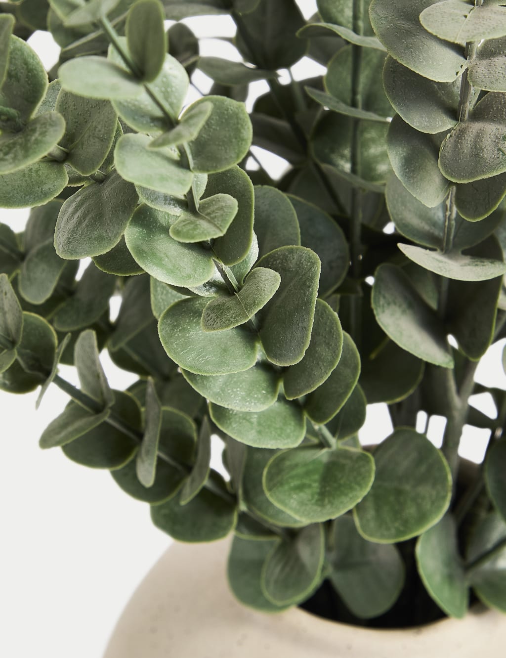 Artificial Eucalyptus in Concrete Pot 3 of 3