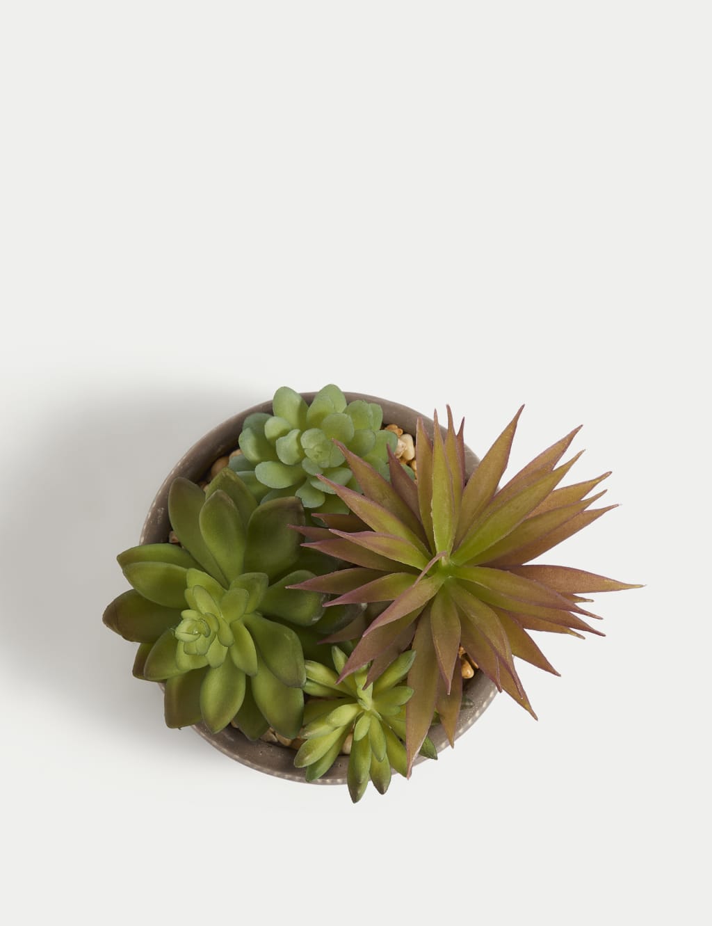 Artificial Succulents in Concrete Pot 4 of 5