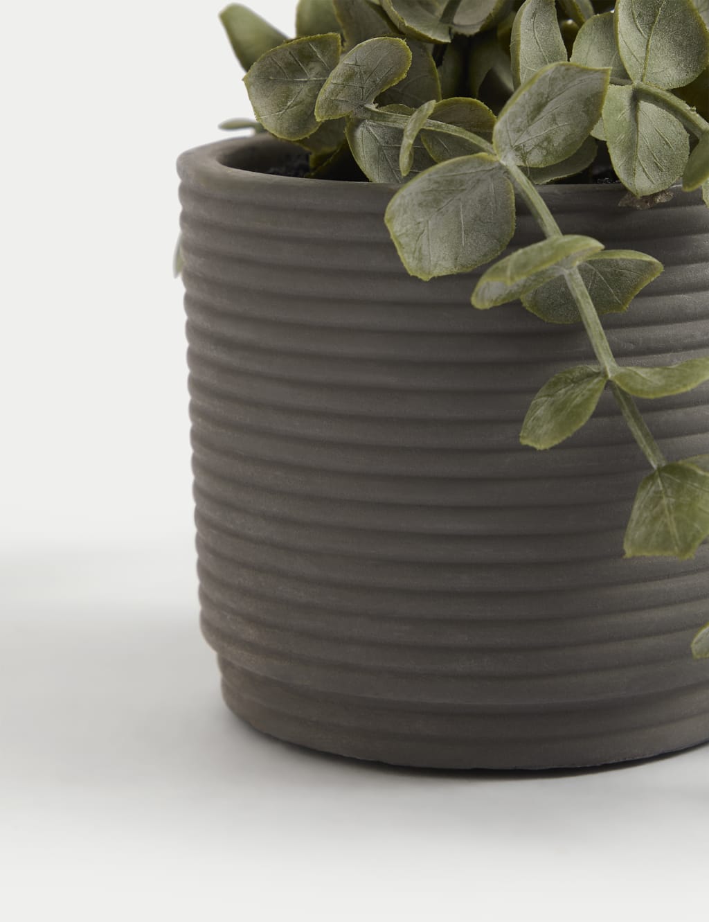 Artificial String of Hearts in Concrete Pot 3 of 4