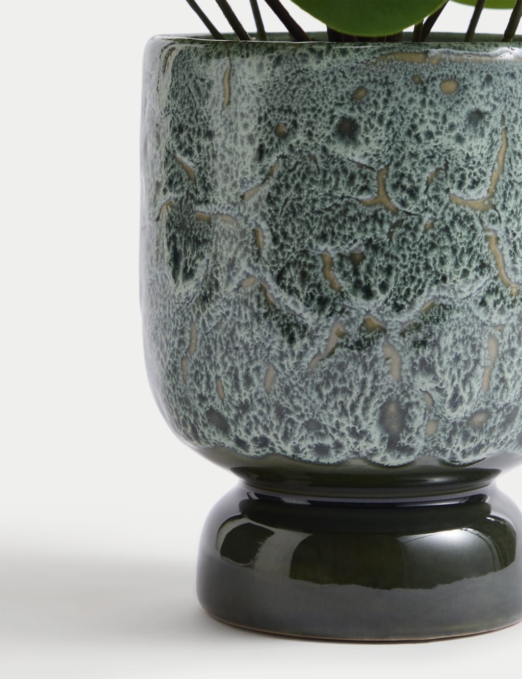 Artificial Chinese Money Plant in Ceramic Pot 3 of 5