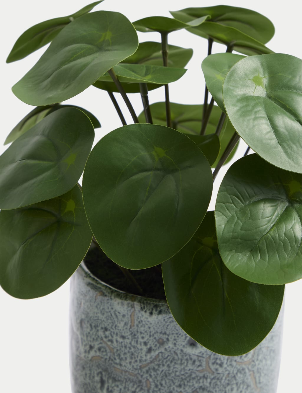 Artificial Chinese Money Plant in Ceramic Pot 4 of 5