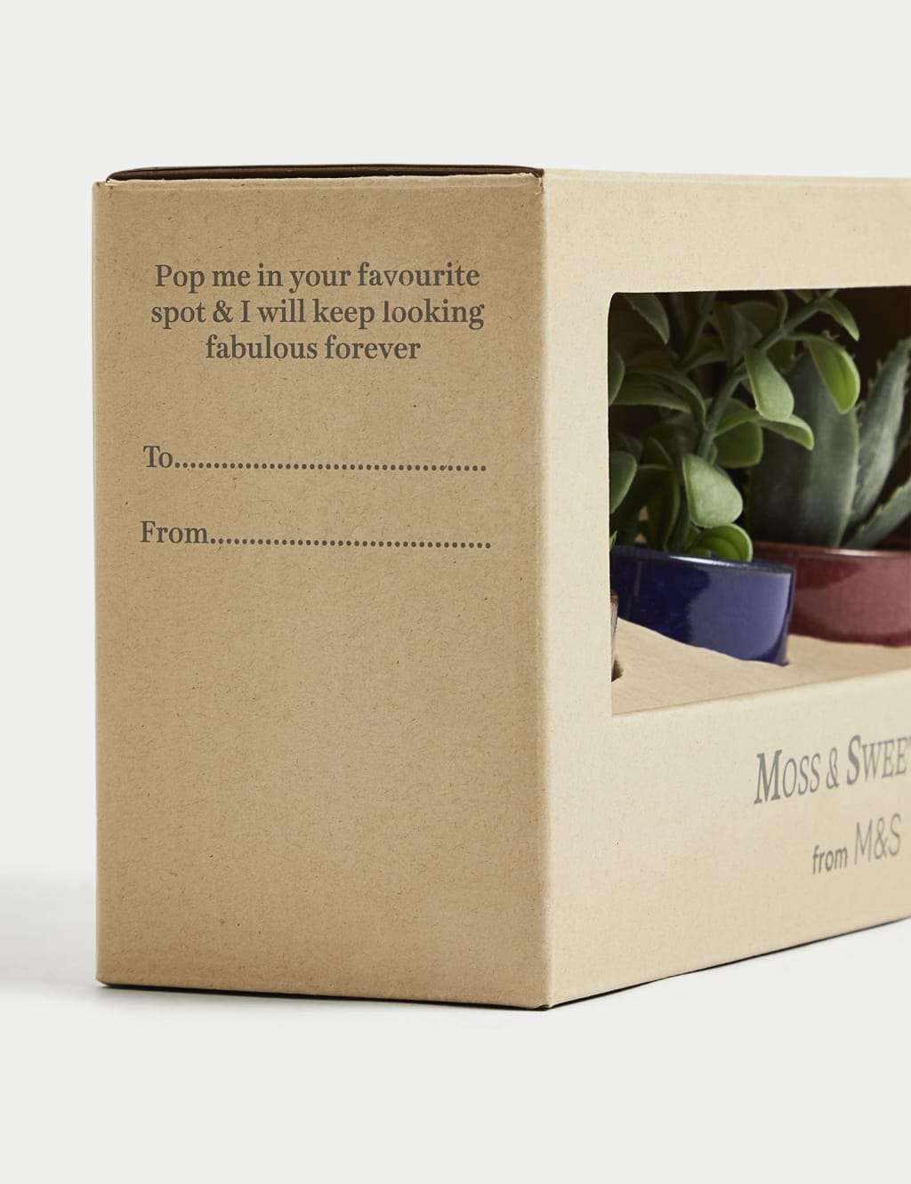 Set of 3 Artificial Mini Succulents in Pots 5 of 5