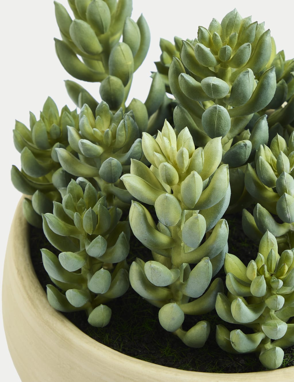 Artificial Succulents in Cement Pot 2 of 3
