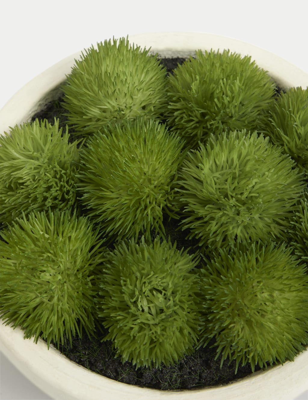Artificial Moss in Concrete Bowl 2 of 3