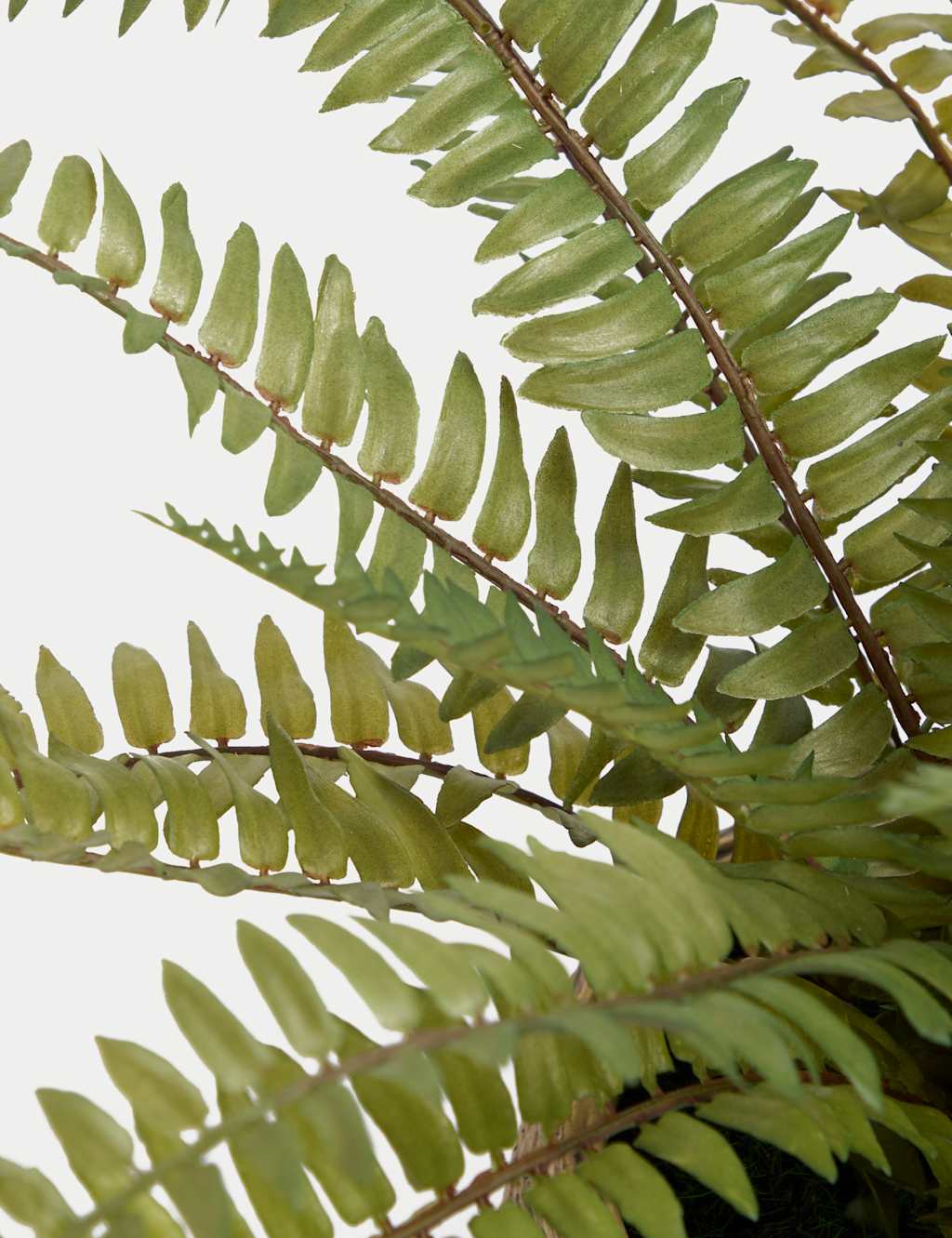 Artificial Fern Plant In Pot 3 of 3