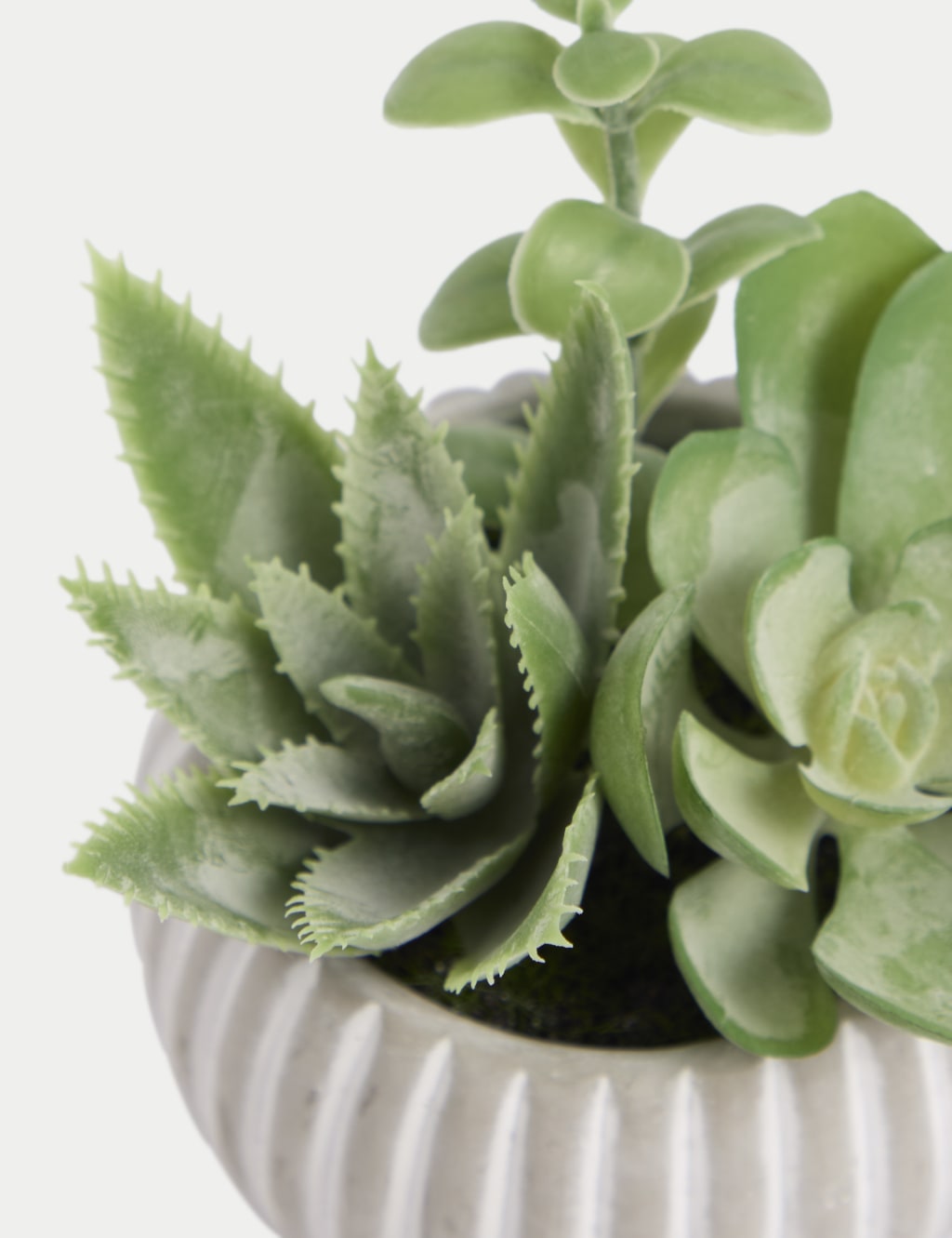Artificial Succulents in Cement Pot 2 of 3