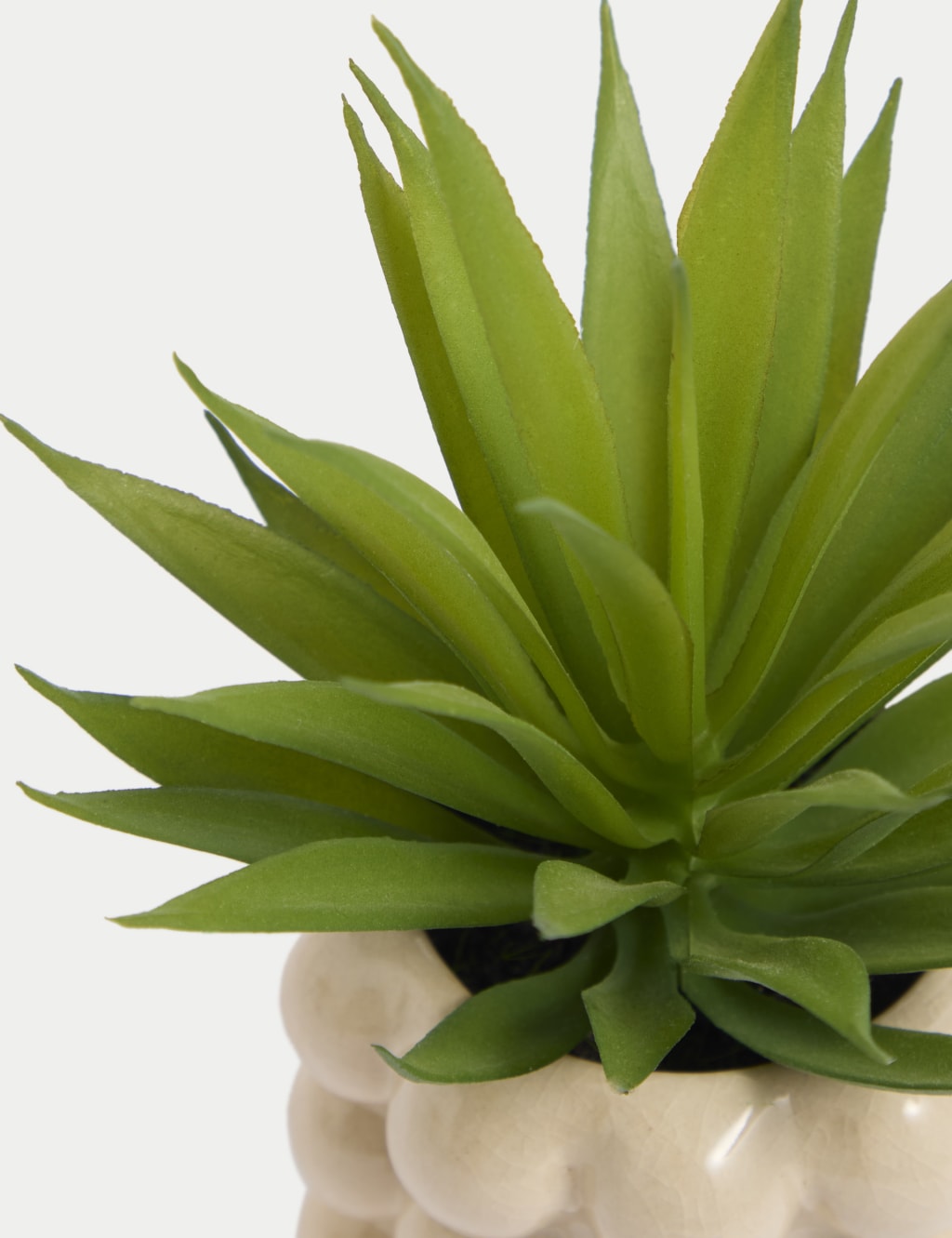 Artificial Mini Air Plant in Bobble Ceramic Pot 2 of 3