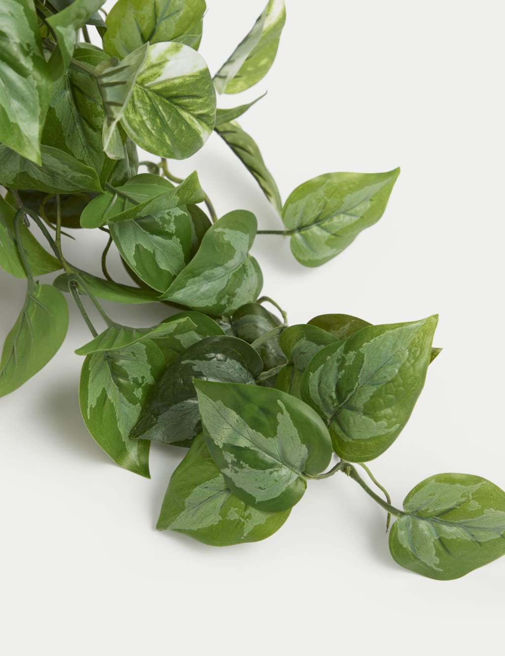 Artificial Trailing Pothos in Cement Pot 2 of 3