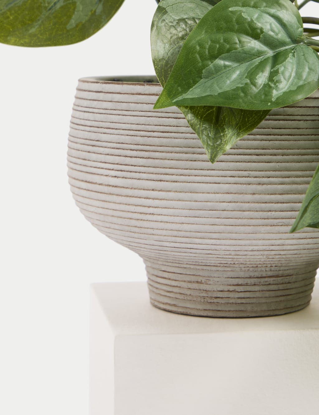 Artificial Trailing Pothos in Cement Pot 3 of 3