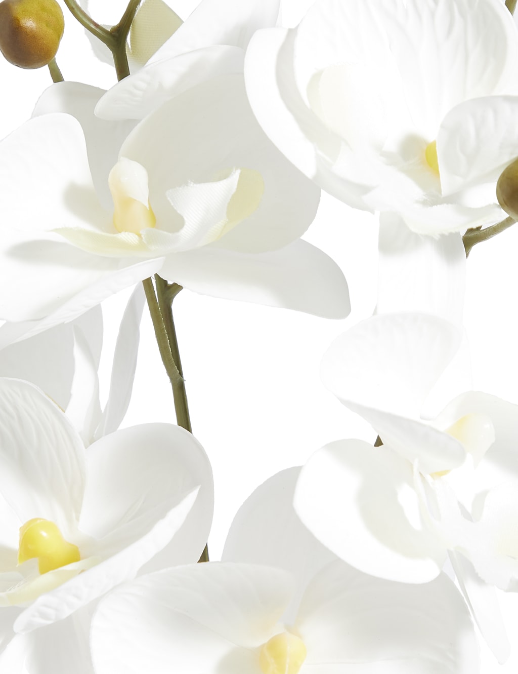 Large Orchid in Ombre Ceramic 2 of 3