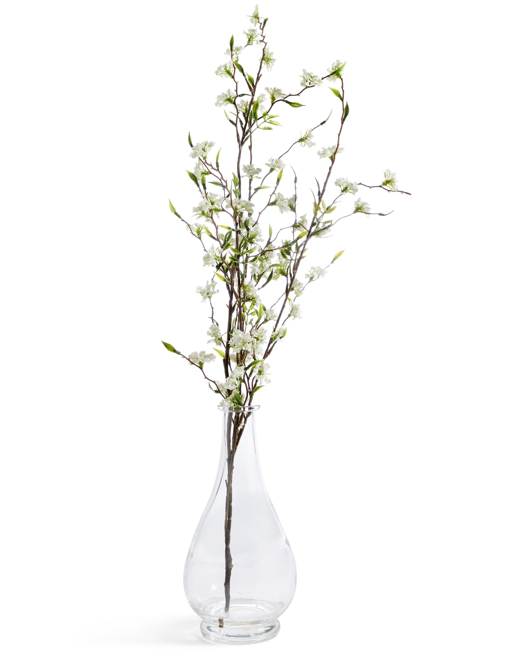 Large White Spirea in Glass bottle 1 of 3