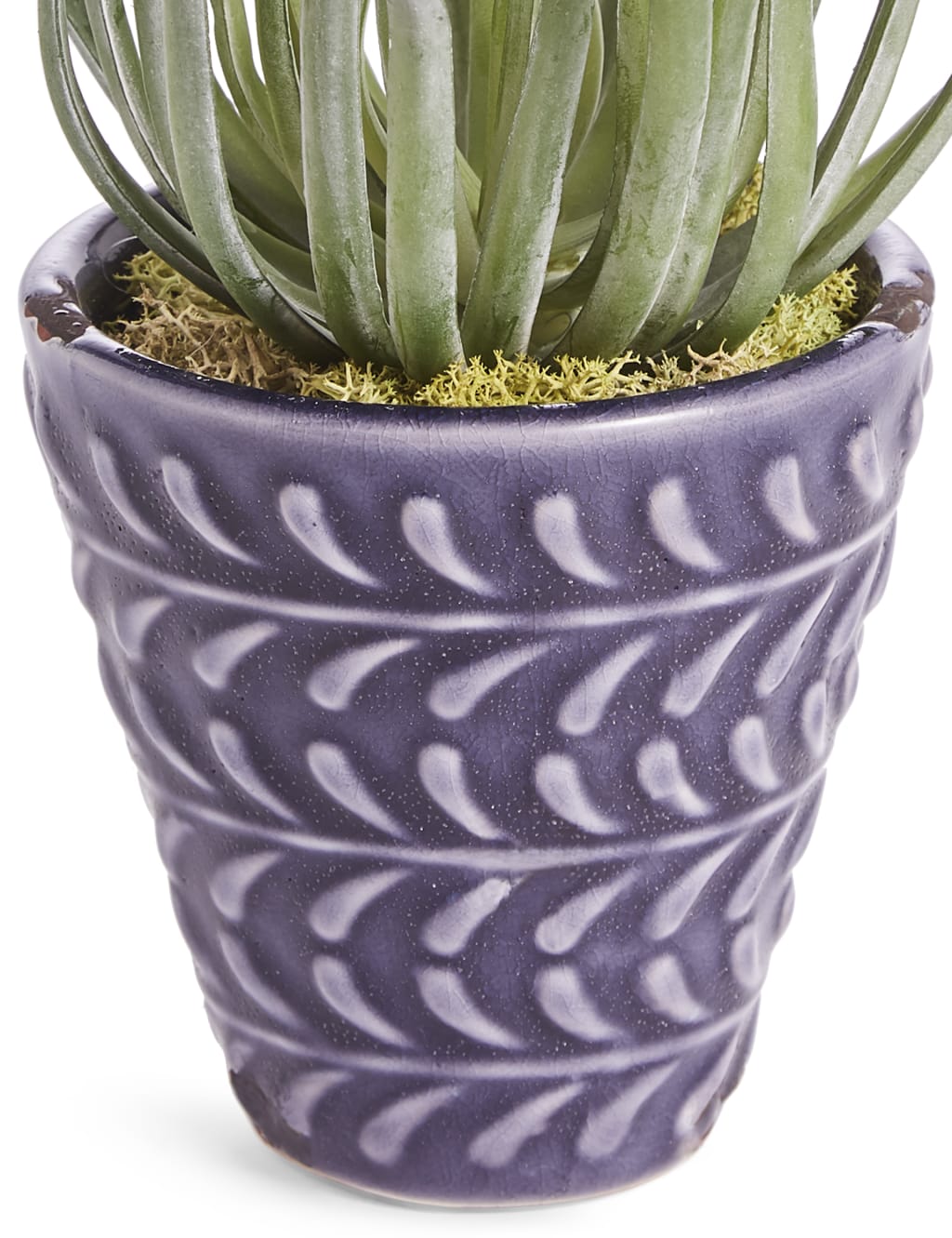 Arid Succulent in Blue Embossed Ceramic 2 of 3