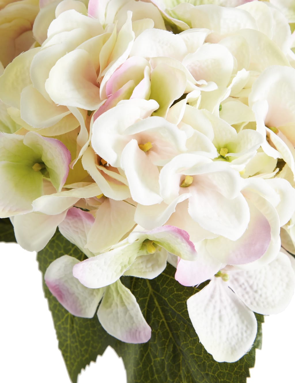 Hydrangea Bouquet 2 of 3