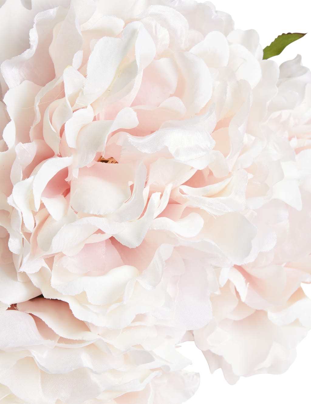 Peony Bouquet 2 of 3