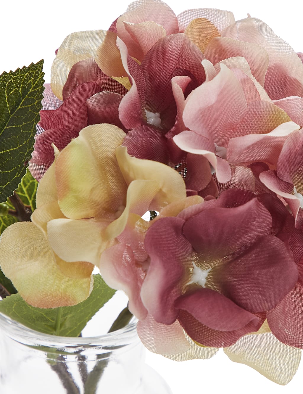 Hydrangea & Berries in Glass Bottle 3 of 3