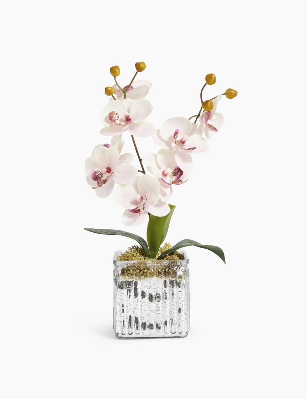 Artificial Medium Orchid Cube 1 of 4