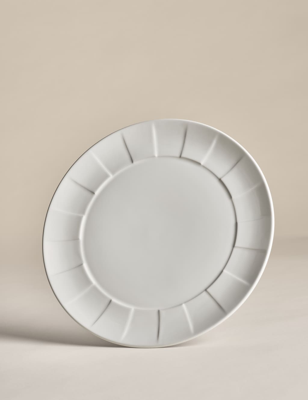 Textured Dinner Plate 4 of 4