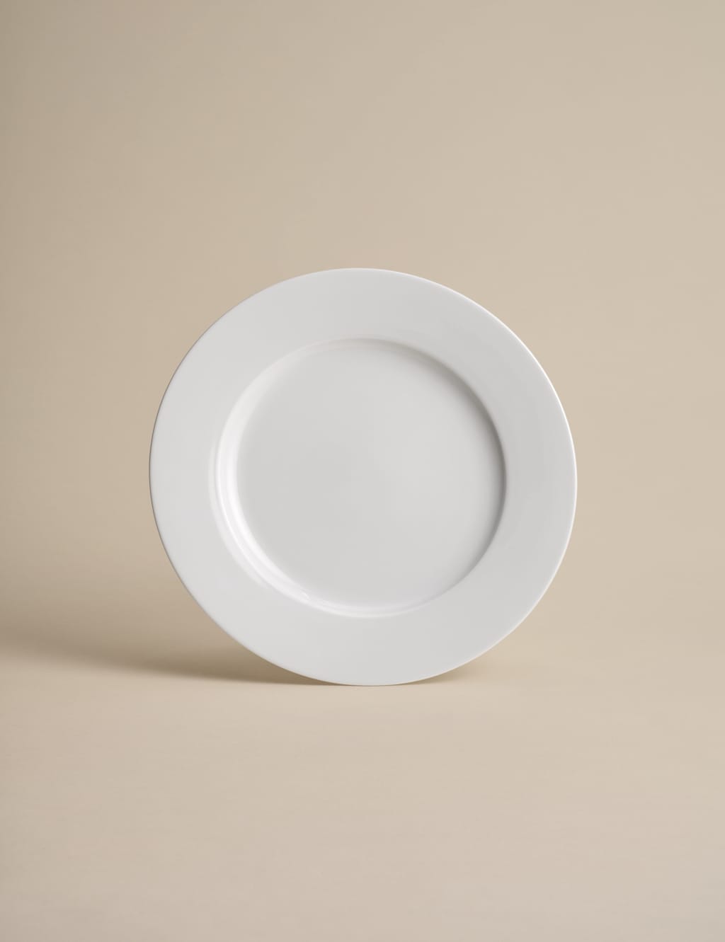 Set of 4 Maxim Dinner Plates 2 of 4
