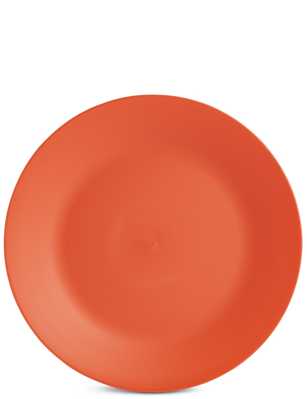 Set of 6 Picnic Plates 5 of 8