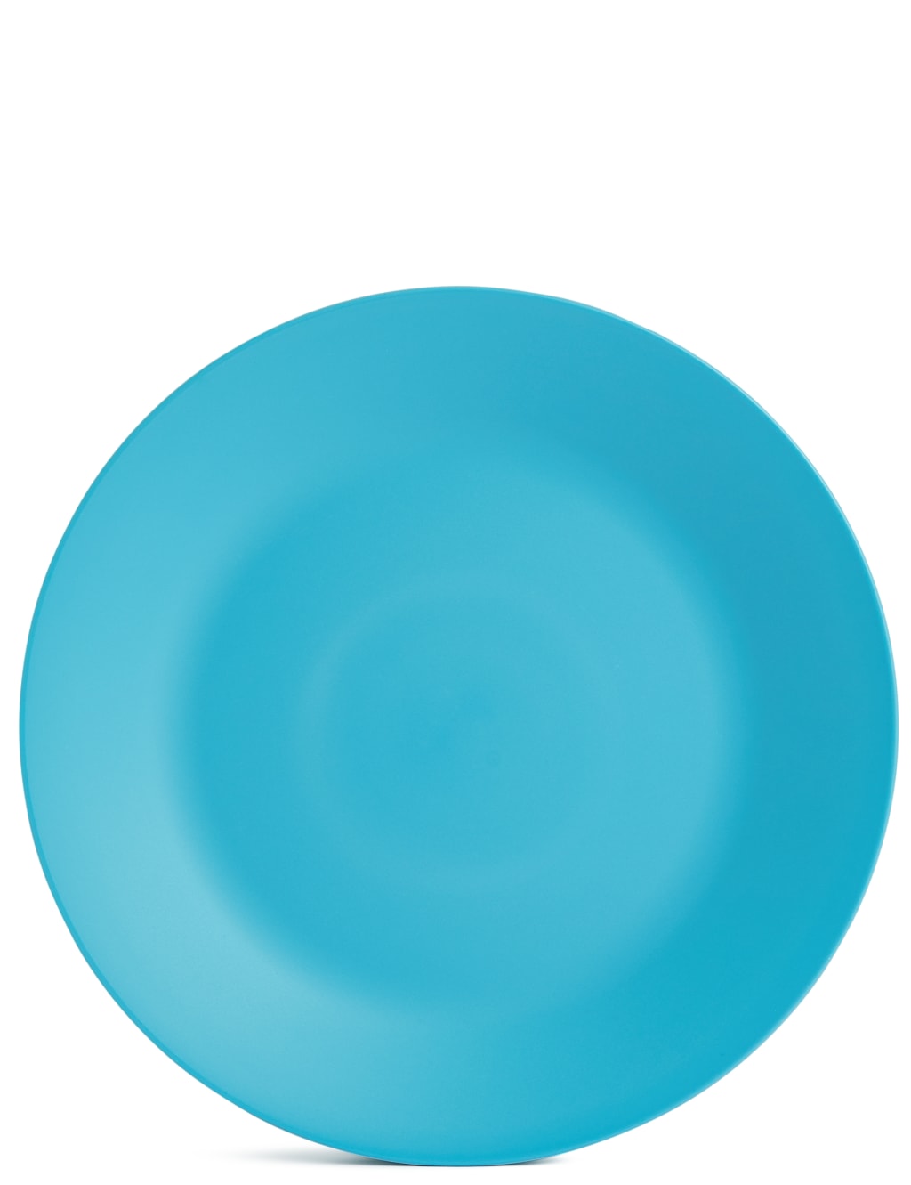 Set of 6 Picnic Plates 7 of 8