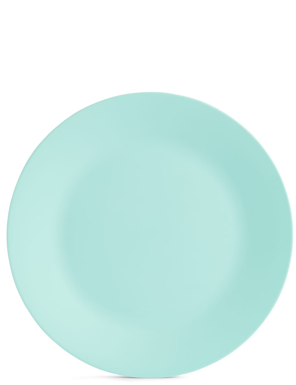 Set of 6 Picnic Plates 8 of 8