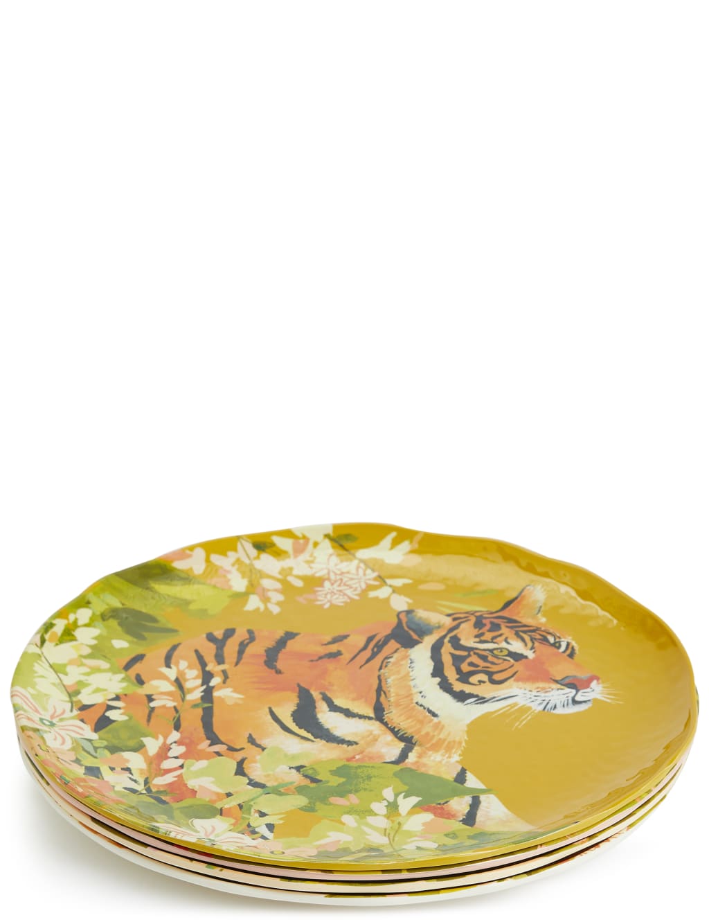 Set of 4 Sun-baked Dinner Plates 2 of 8