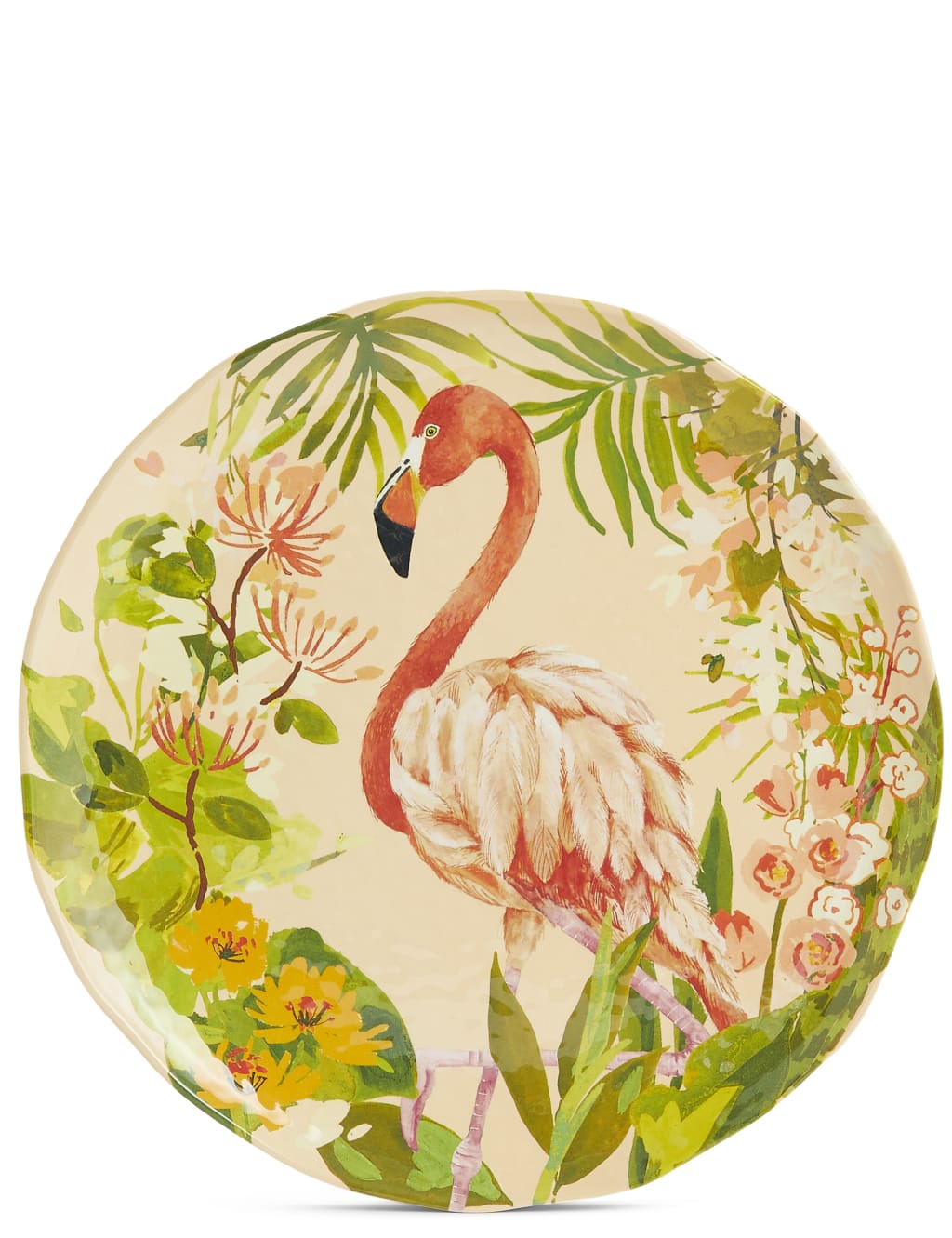 Set of 4 Sun-baked Dinner Plates 3 of 8