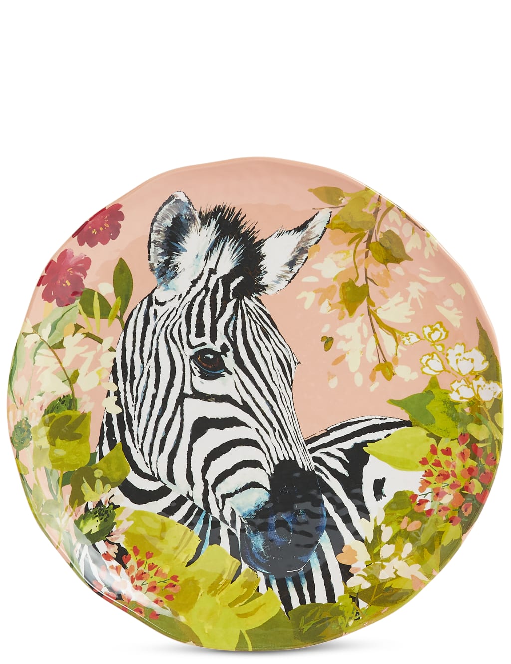Set of 4 Sun-baked Dinner Plates 4 of 8