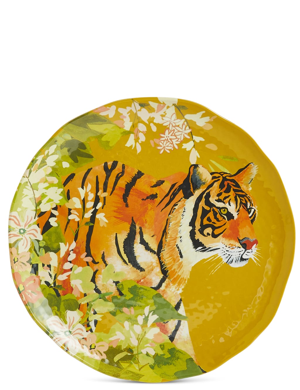 Set of 4 Sun-baked Dinner Plates 5 of 8