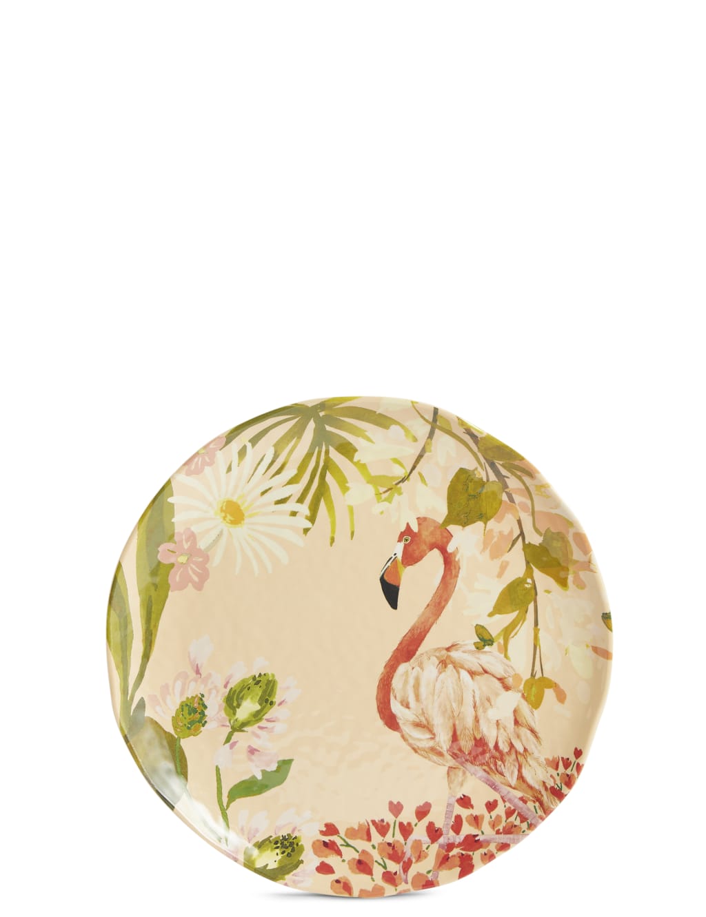 Set of 4 Sun-baked Side Plates 6 of 7