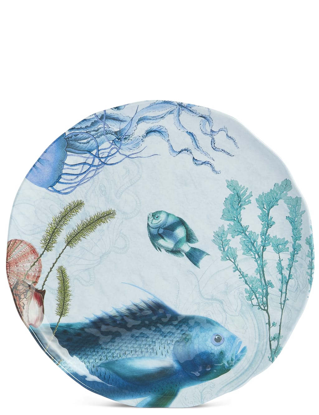 Set of 4 Nautical Dinner Plates 4 of 7