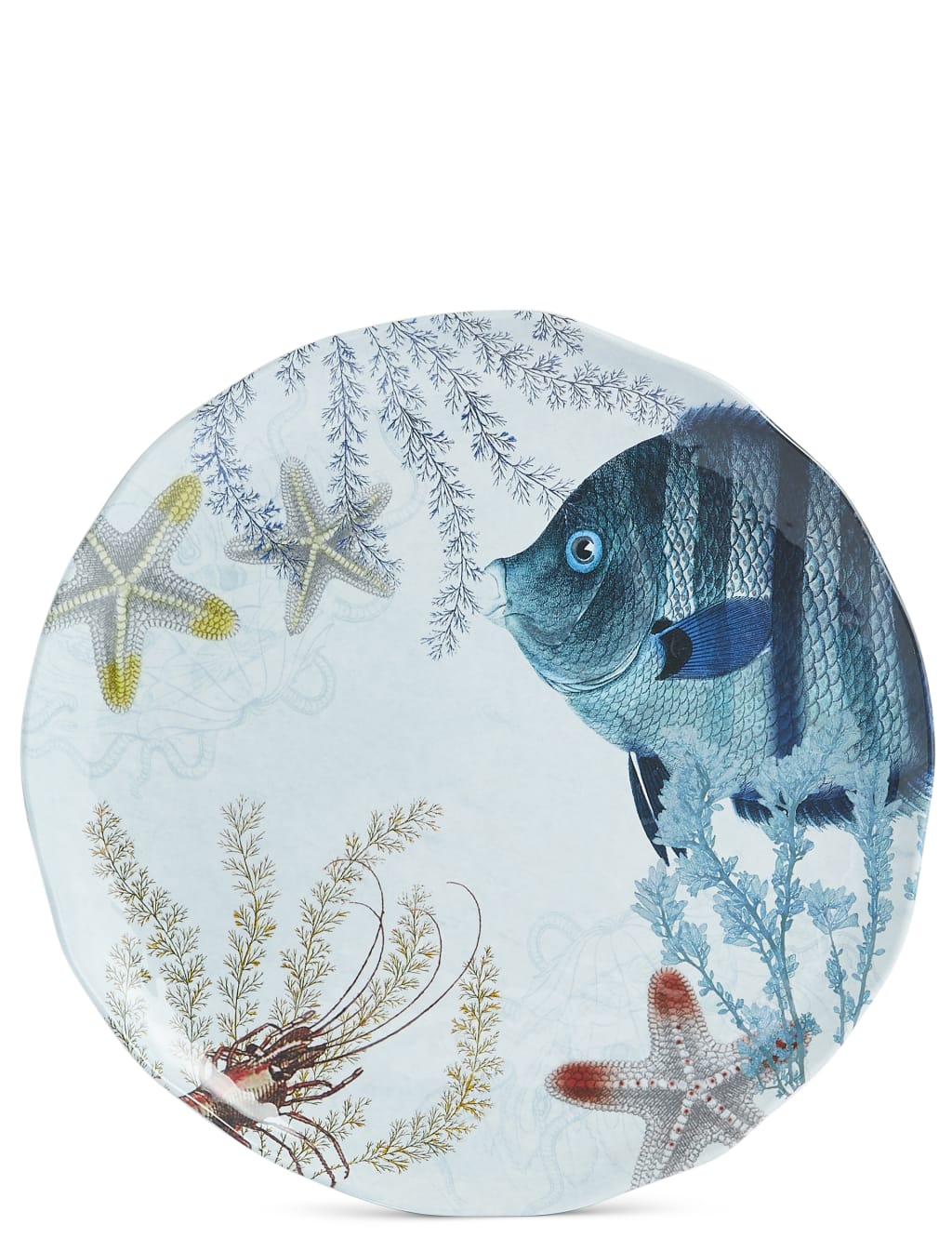 Set of 4 Nautical Dinner Plates 6 of 7