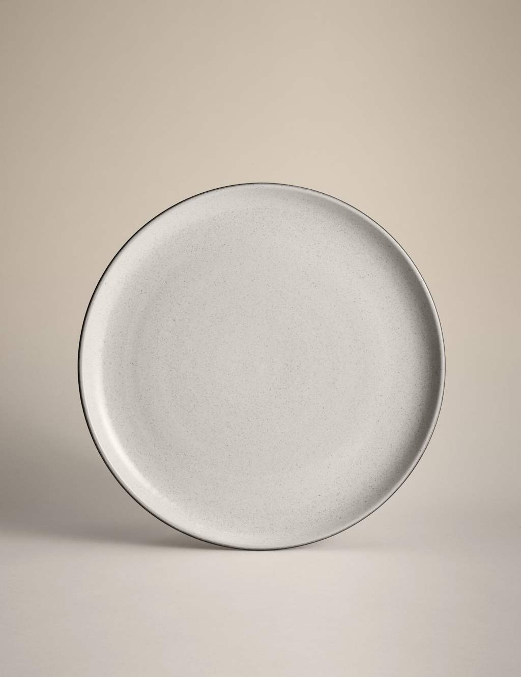 Set of 4 Michigan Dinner Plates 3 of 4