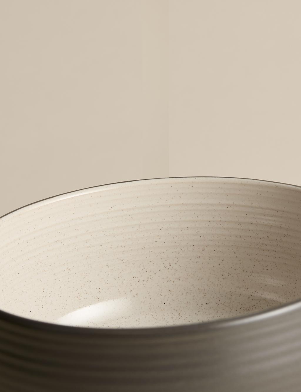 Set of 4 Michigan Cereal Bowls 4 of 6