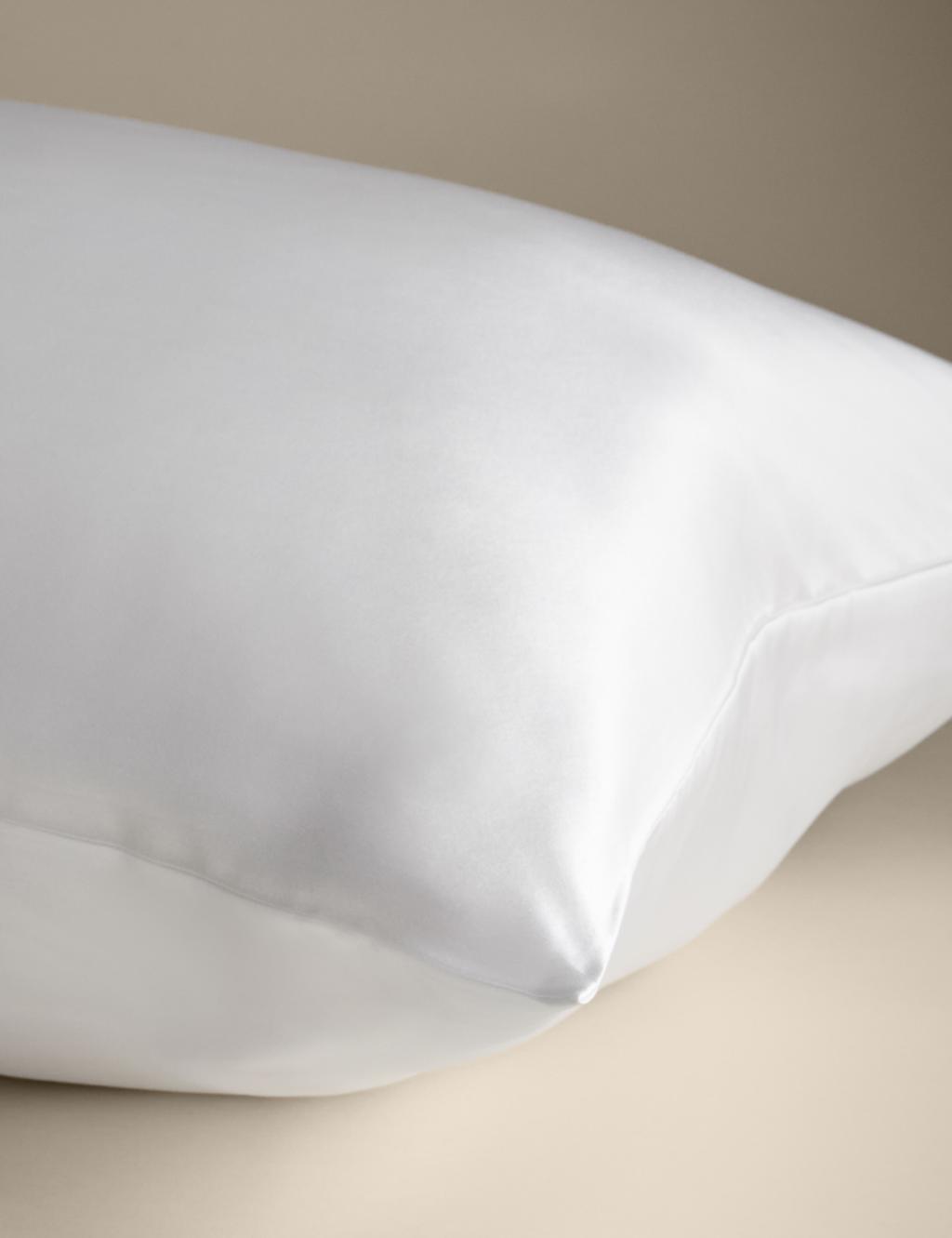 Pure Mulberry Silk King Size Pillowcase 4 of 6