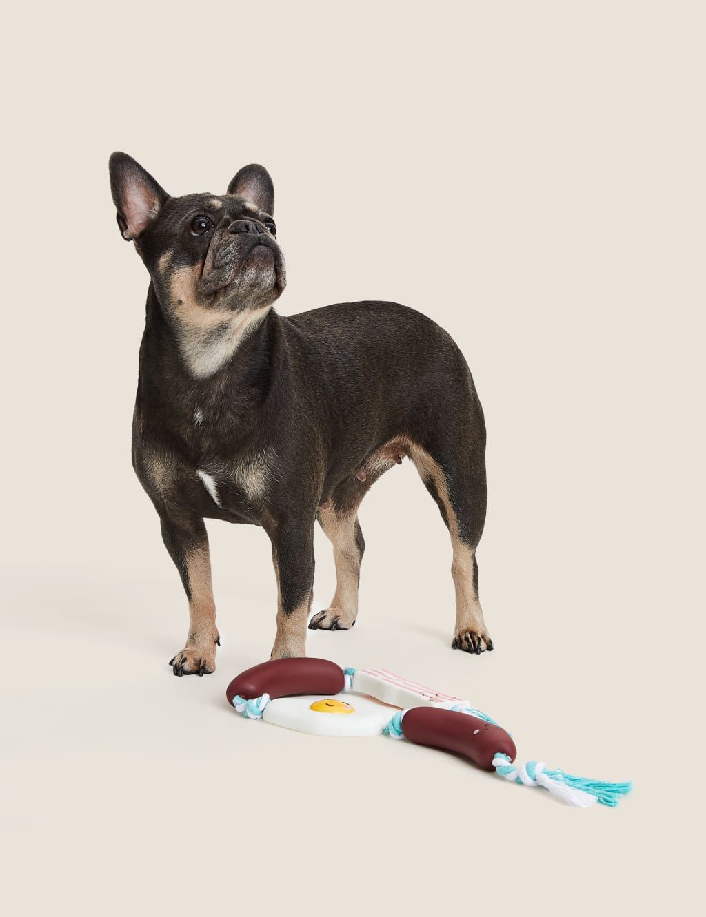 Fry Up String Pet Toy 1 of 4