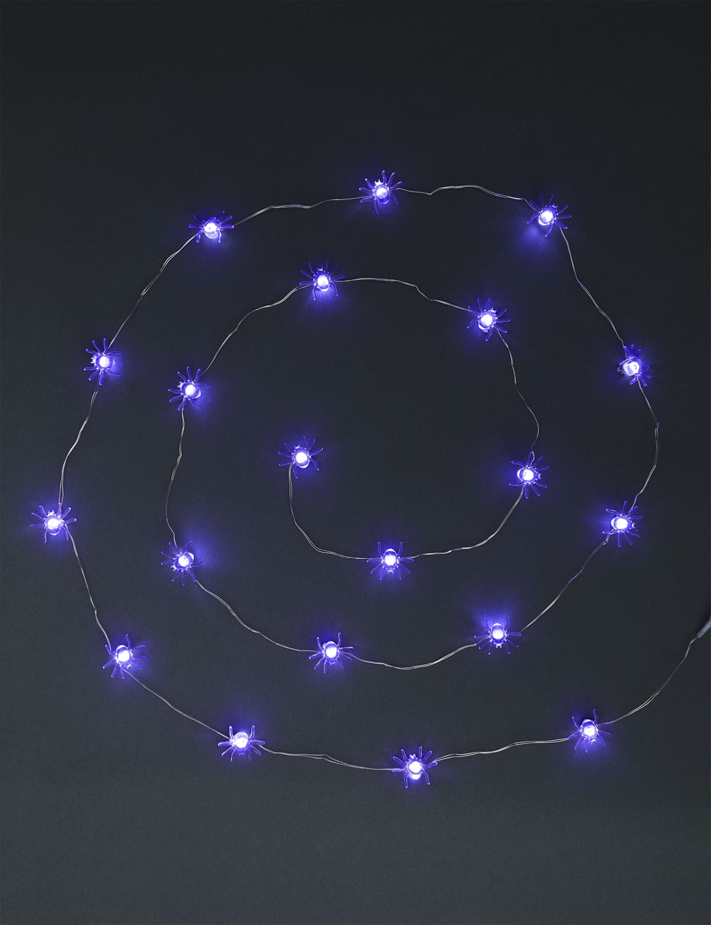 Halloween Spider Battery String Lights 1 of 3
