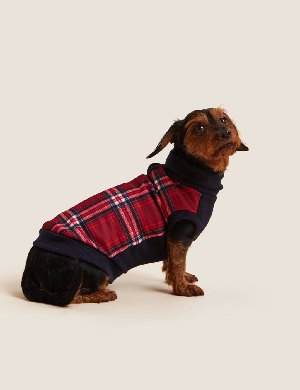 Check Dog Jumper 1 of 5