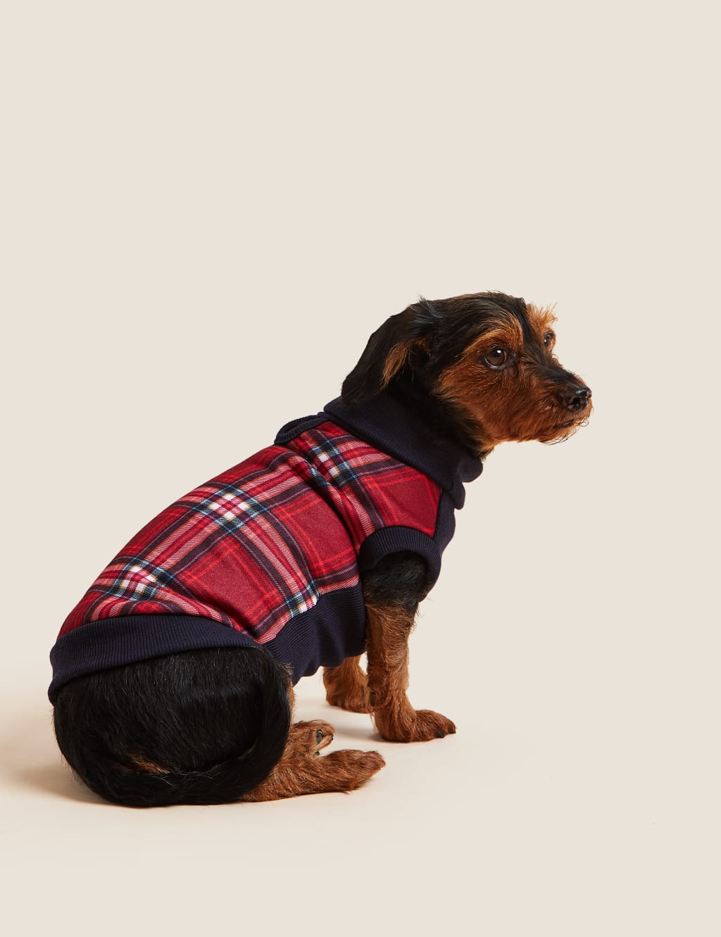 Check Dog Jumper 4 of 5