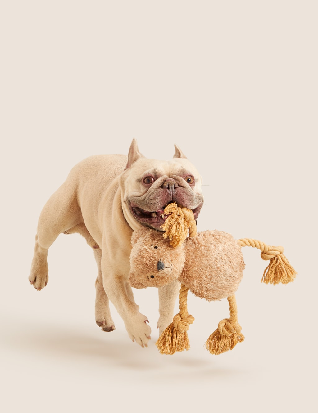 Spencer Bear Rope Pet Toy