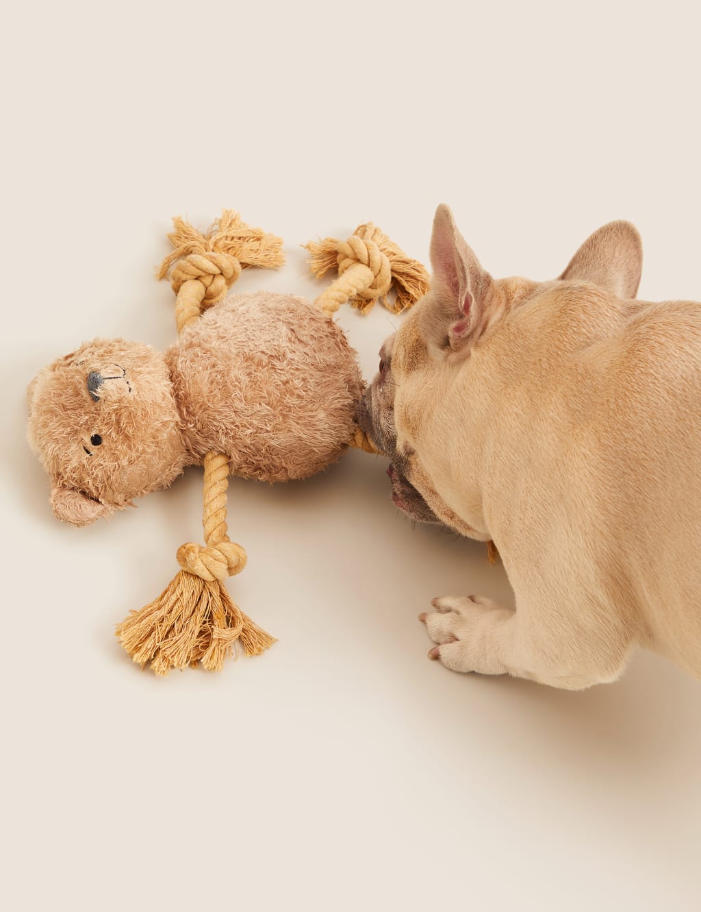 Spencer Bear Rope Pet Toy
